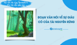 The passage talks about the wealth of forest resources